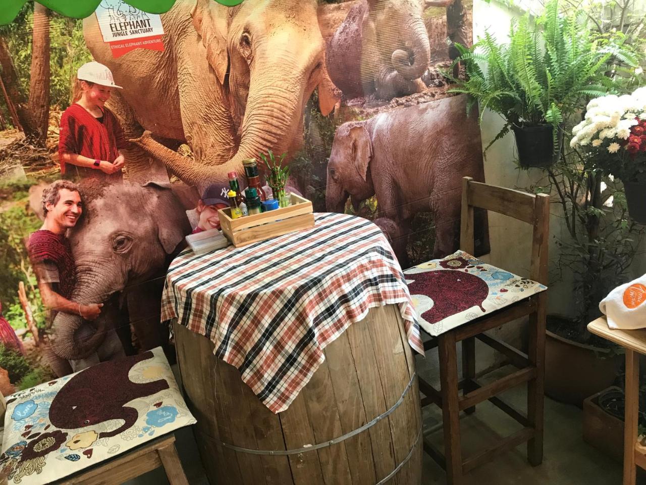 Absolute House Hostel Τσιάνγκ Μάι Εξωτερικό φωτογραφία